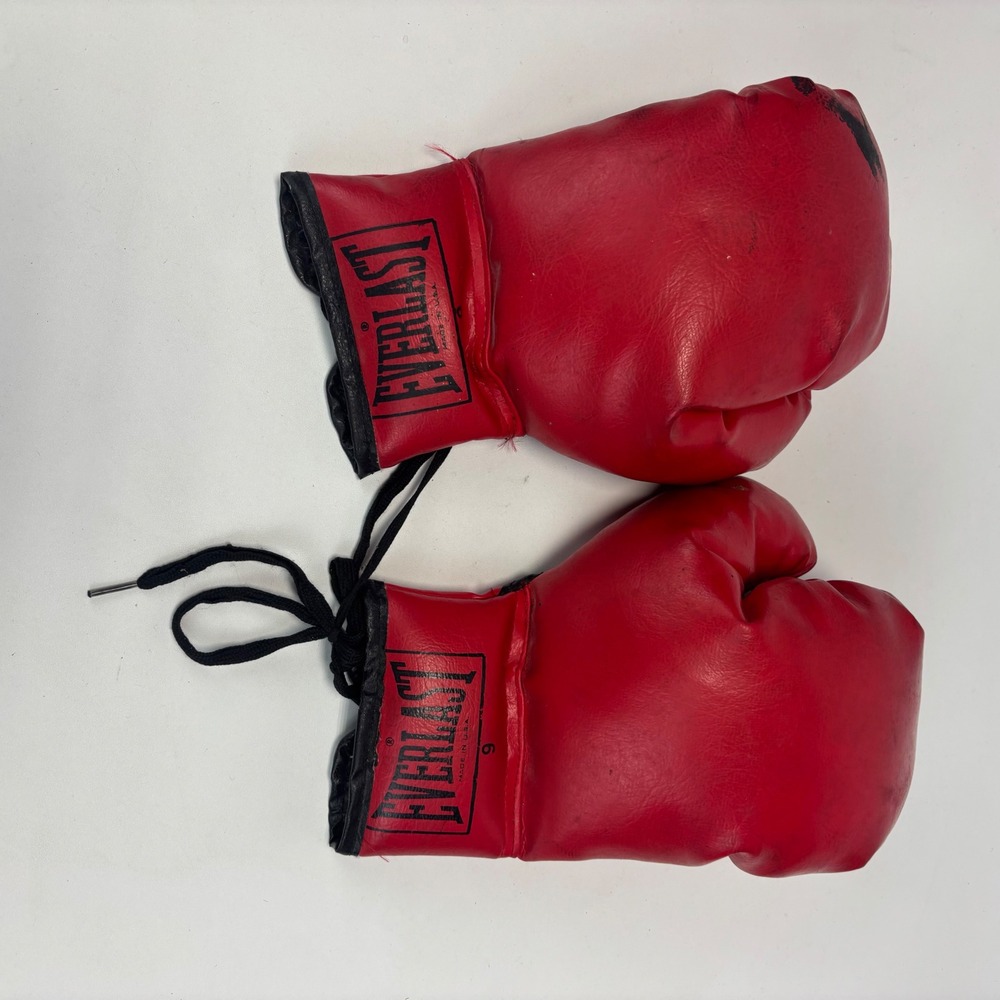 Everlast Boxing Gloves Red Vintage Leather Lace Up Made in USA Sport